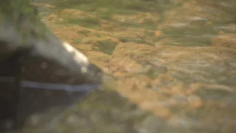Water surface Stock Footage