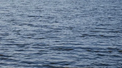 Water surface Stock Footage 109212672