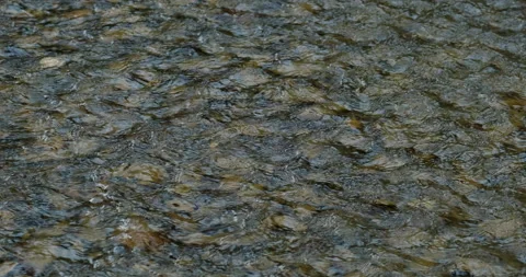 Water surface Stock Footage 132345837