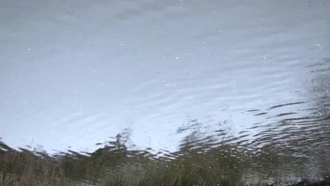 Water surface Stock-Footage 146375757