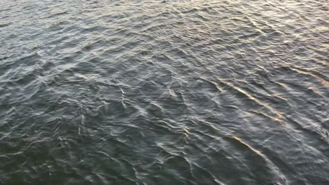 Water surface Stock Footage 153734252