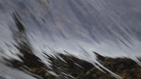 Water surface Stock Footage 169082494