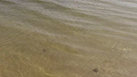 Water Surface Stock Footage 232053337