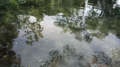 Water surface Stock Footage 236599730