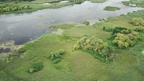 The Water Surface Is Framed By A Dense Carpet Of Coastal And Marsh Vegetatio Stock-Footage 318074257