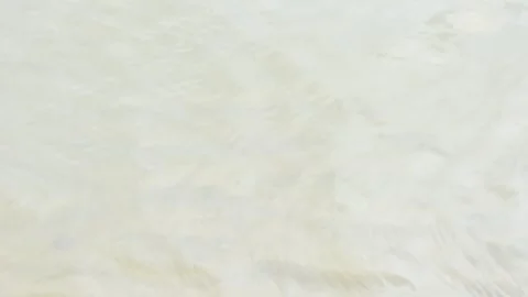 Water surface of Ganga river. Vidéo 275815367