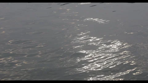 Water Surface with Gentle Ripples for Mindfulness Background Use Stock Footage 327680448