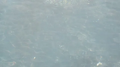 The water surface is gray-blue in the shallow pool. Stock Footage 331999619