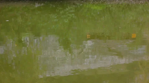 Water surface of lake Stock Footage 29668762