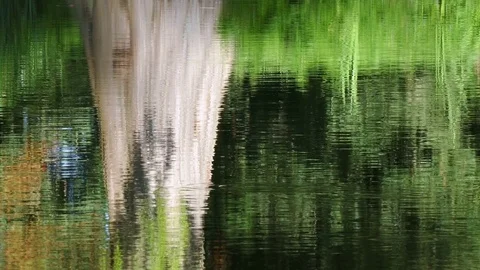 Water surface on a lake Stockbeeldmateriaal 79871040