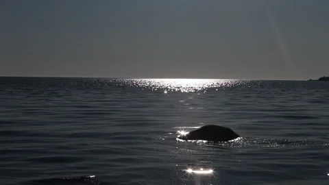 The water surface of Lake Stock Footage 131173424