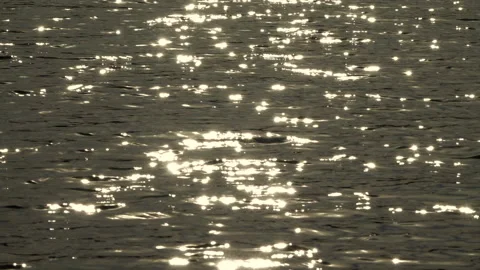 Water surface on a lake Vidéo 163740660