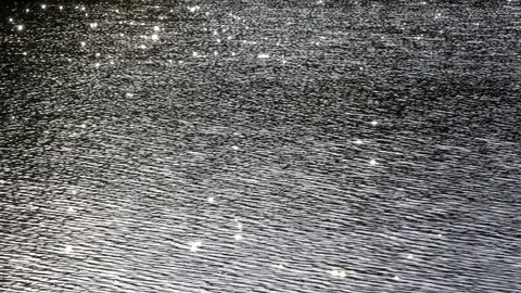Water surface in a lake, river or pond on a bright, sunny day. Stock Footage 121746792