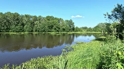 The water surface of the lake surrounded by green grass and trees. Stock Footage 287731495