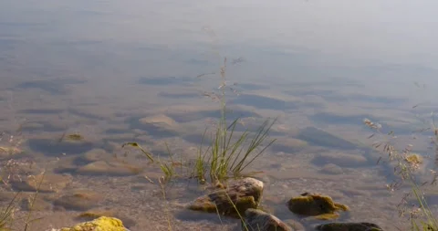 Water surface on Lake Timelapse Stock Footage 131515632