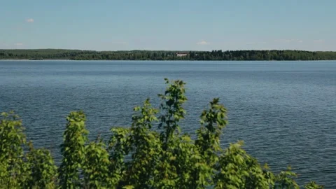 The water surface of the lake is visible behind the branches of the tree Stock Footage 301210076