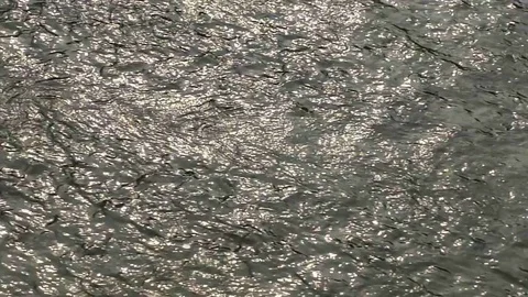 Water surface landscape of river Stock Footage 72999325