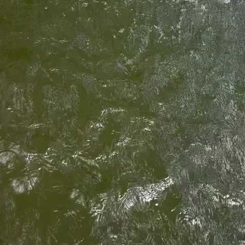 Water Surface with Large Falling Water Jet Creating Whirlpool and Circular Waves Video stock 273991616