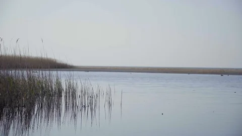 Water surface on a large lake, reeds and water. Stock Footage 128191253