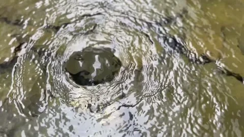 Water surface with large ripples forming circular patterns Stock Footage 314707889