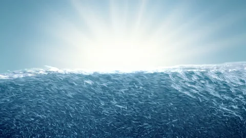 Water Surface Level Rising Full-Screen Close-Up Against Summer Sun Background Vídeo Stock 203593948