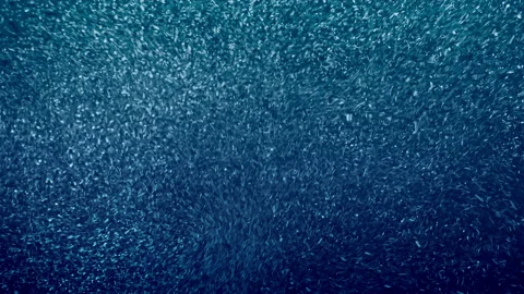 Water Surface Level Rising Full-Screen Close-Up Against Summer Sun Background Vídeo Stock 234258377