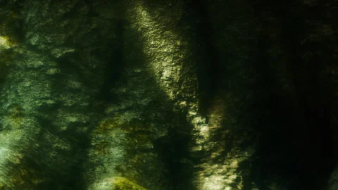 Water surface with light patterns and green algae during the day Stock Footage 345044938