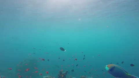 Water surface, light, sun rays, refraction, sparkle Stock Footage 94917991