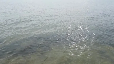 Water surface with light waves in sea Stock-Footage 243985950