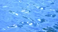 Water Surface LM14 Loop HD Footage