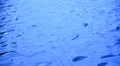 Water Surface LM17 Loop HD Footage