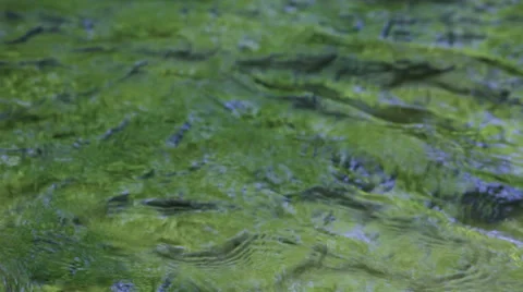 Water surface on mountain creek Stock Footage 35915556