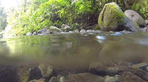 Water surface in mountain stream Stock Footage 46271575