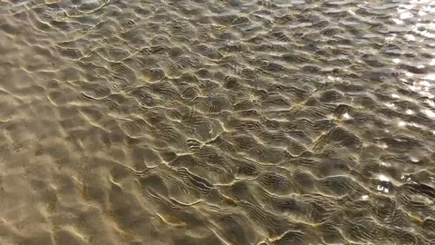 Water surface moving in waves and ripples on a beach Stock Footage 95913374