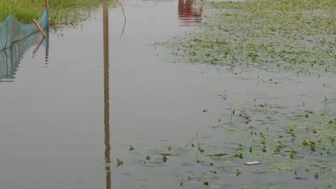 Water surface with net Stock-Footage 329382669