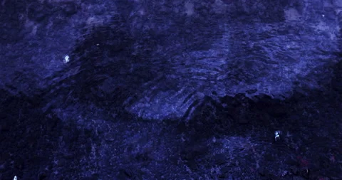 Water Surface in Night in Slow motion. Blue Aquatic. Dusk, Moonlight. Liquid.  Stock Footage 201698054