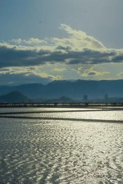The water surface at noon Photos