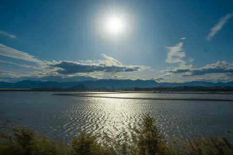 The water surface at noon Stock Photos