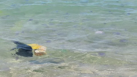 Water surface, ocean shore covered plastic debris layer greasy film, bright Stock Footage 333996764