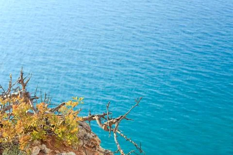 Water surface Stock Photos