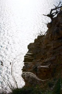 Water surface Stock Photos