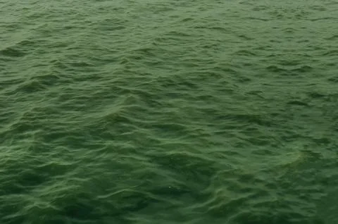 Water surface Stock-Fotos