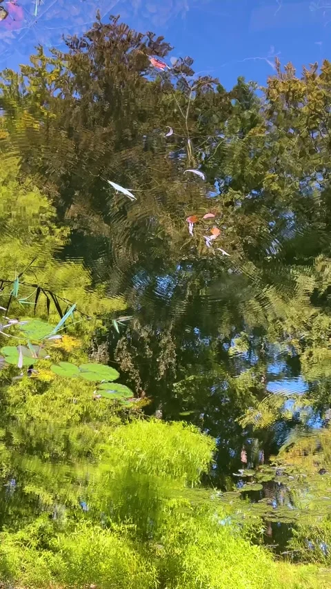 The water surface of the pond reflecting the trees and the sky. Vertical video. 库存影片 318979547