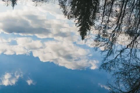 Water surface of pond with the reflection of black trees and a blue sky with Stock Photos
