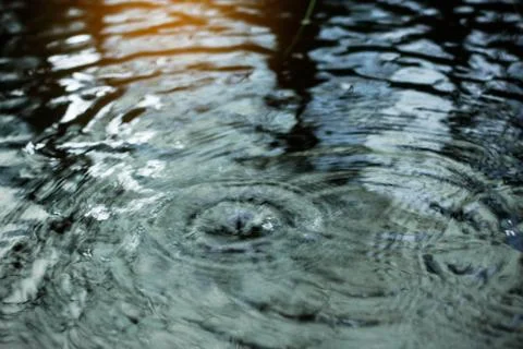 Water surface with rain reflection. Stock Photos