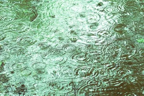Water surface with rain texture - circles and bubbles texture Stock Photos