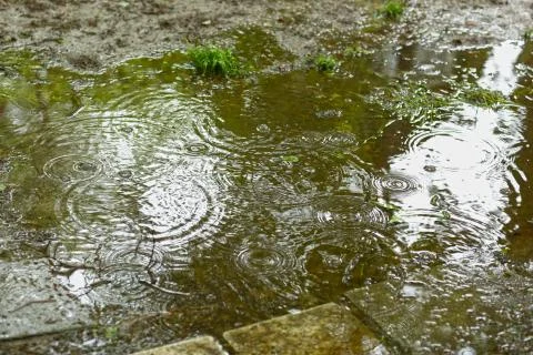 Water surface with rain texture - circles and bubbles texture Stock Photos