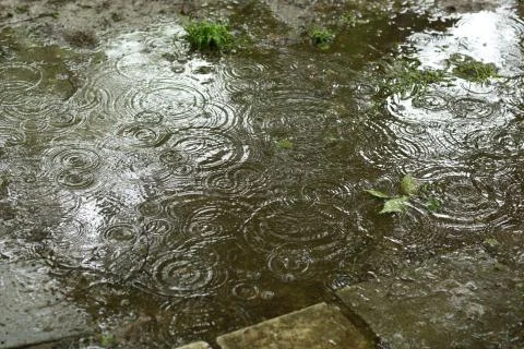 Water surface with rain texture - circles and bubbles texture Stock Photos
