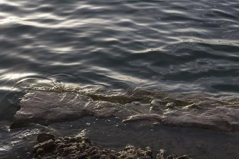 Water surface with reflecting light at lake shore Stock Photos