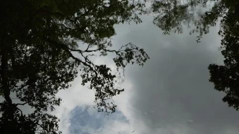 Water surface reflecting tree silhouettes and clouds Stock Footage 337734510
